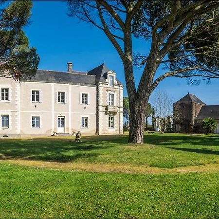 Vignoble Chateau Piegue - Winery Rochefort-sur-Loire Kültér fotó