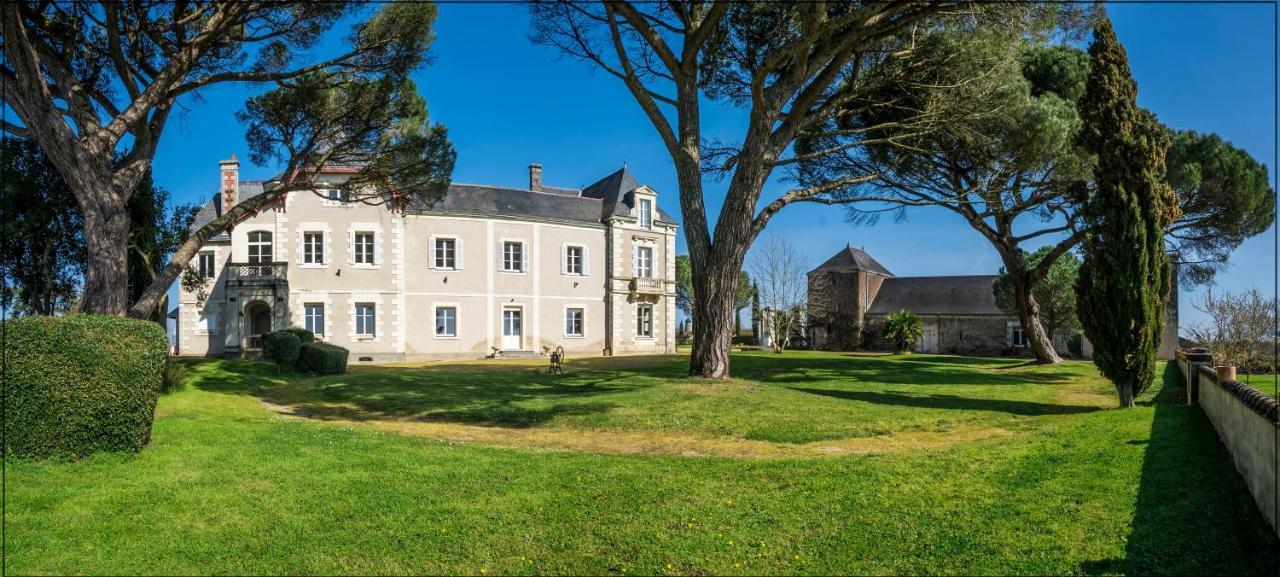 Vignoble Chateau Piegue - Winery Rochefort-sur-Loire Kültér fotó