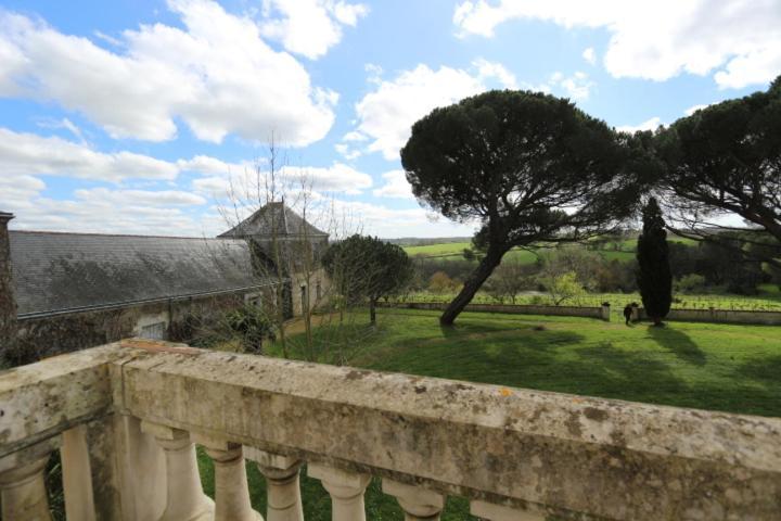 Vignoble Chateau Piegue - Winery Rochefort-sur-Loire Kültér fotó